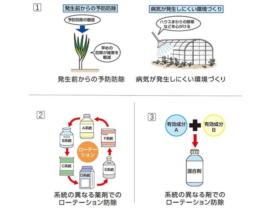 耐性菌対策のポイント