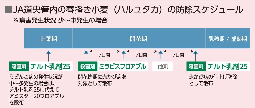 春播き小麦の（ハルユタカ）の防除スケジュール