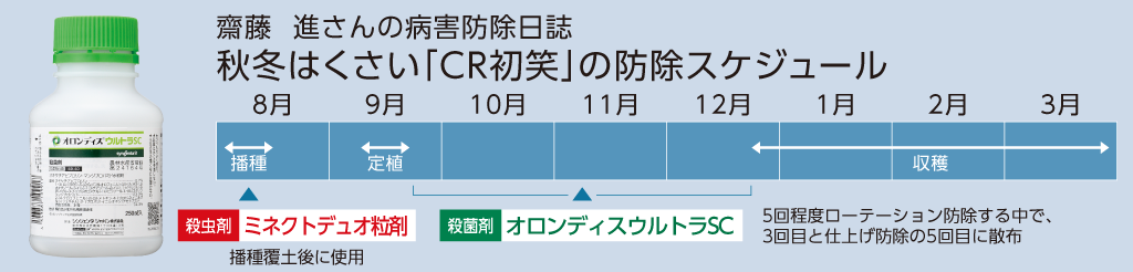 オロンディスウルトラSCを使った「はくさい」のべと病にたいする防除スケジュール