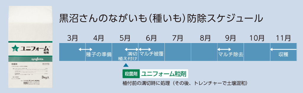 ユニフォーム粒剤を使った「ながいも（種いも）」の根腐病に対する防除スケジュール