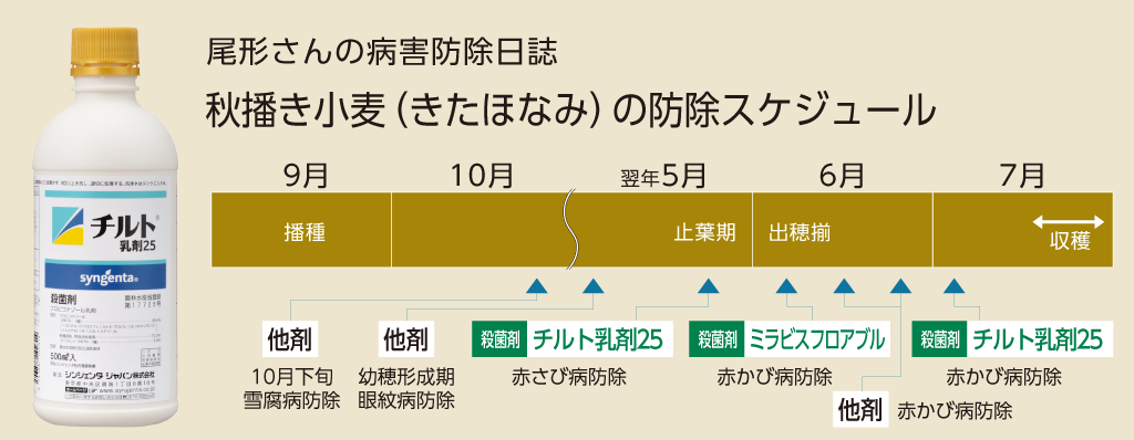 チルト乳剤25を使った「小麦」の赤さび病・赤かび病の防除スケジュール
