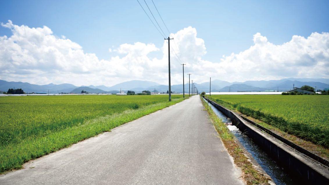 JA会津よつば管内の稲作の栽培面積は2万2000ha。周囲を山に囲まれた会津盆地は、昼夜の寒暖差が大きく、食味のよいコメが収穫できる