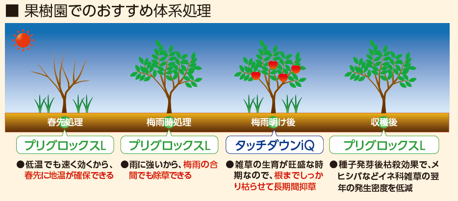 体系処理は果樹園の下草処理にも効果的