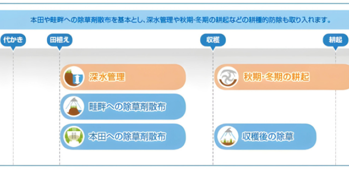 耕種的防除の慣行栽培における組み合わせ例