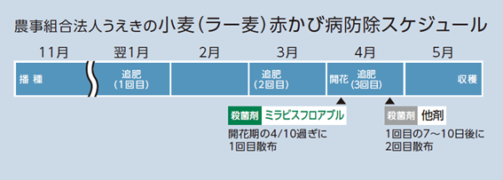 農事組合法人うえきの小麦（ラー麦）赤かび病防除スケジュール