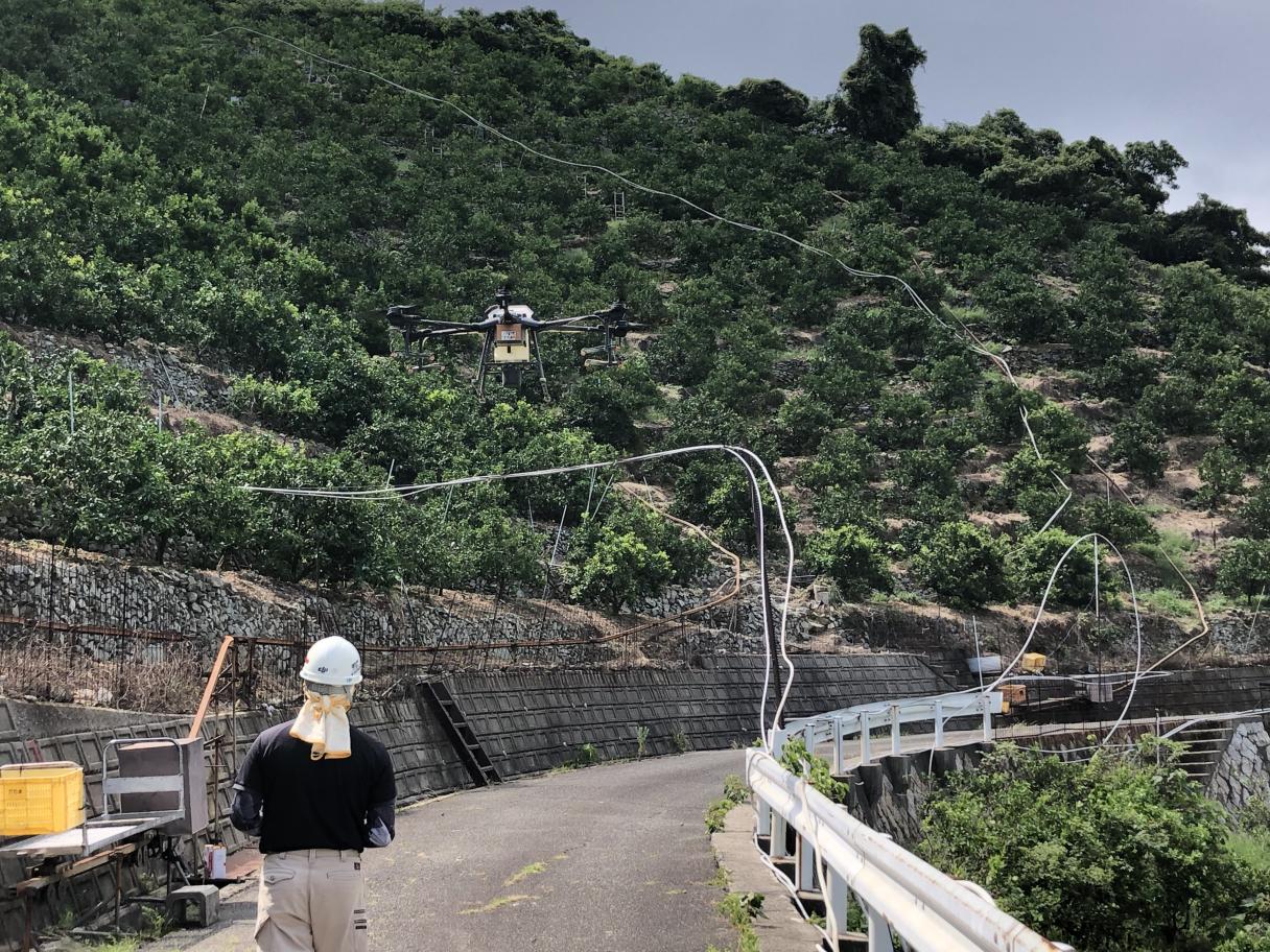 最先端のドローン防除で省力化を実現。 歴史あるかんきつの産地を守り
