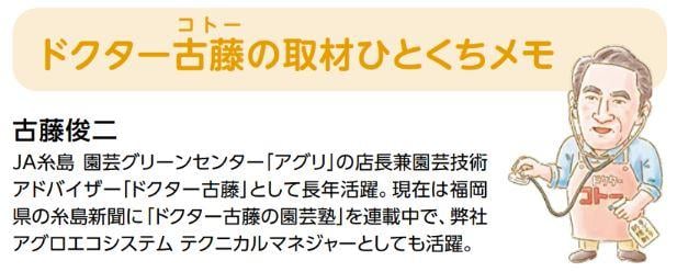 ドクター古藤