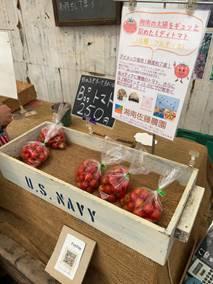農業と飲食店経営の両立を実現。 湘南育ちのフルーツトマトで、 地域の