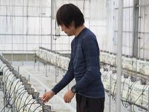 澤藤園 澤井政善さん