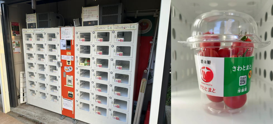 庭先に設置したトマト自販機（左）と、第2回・第3回全国ミニトマト選手権で2年連続金賞を受賞した自販機内の「さわとまと極み