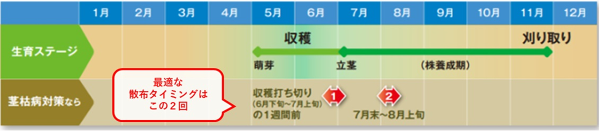 ユニフォーム粒剤の北海道アスパラガス（春採り・露地栽培）への上手な使い方を示した図