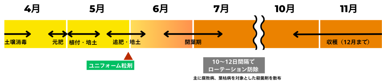 高橋様防除スケジュール